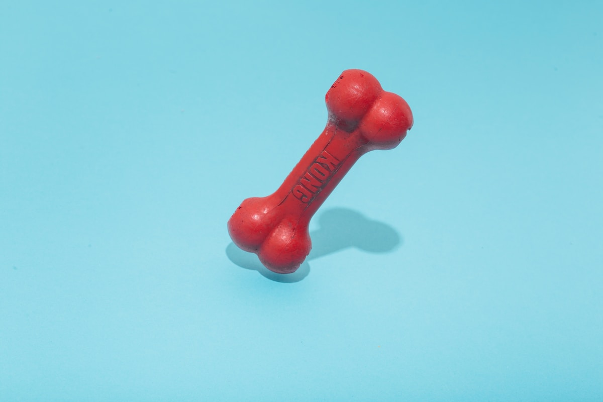 Pet toys